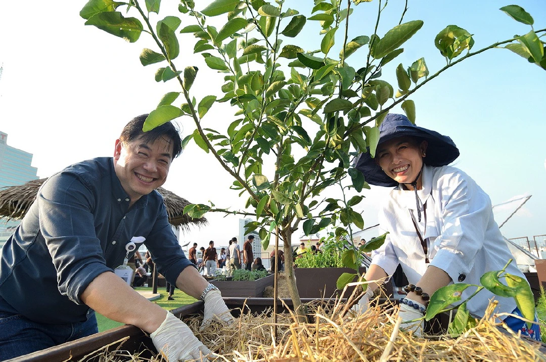 มั่นคงฯ สร้าง Rooftop Organic Garden ชวนพนักงานเพิ่มพื้นที่สีเขียว  ปลูกผักอินทรีย์สะท้อนจุดยืน “สุขภาวะที่ดี” ขององค์กร