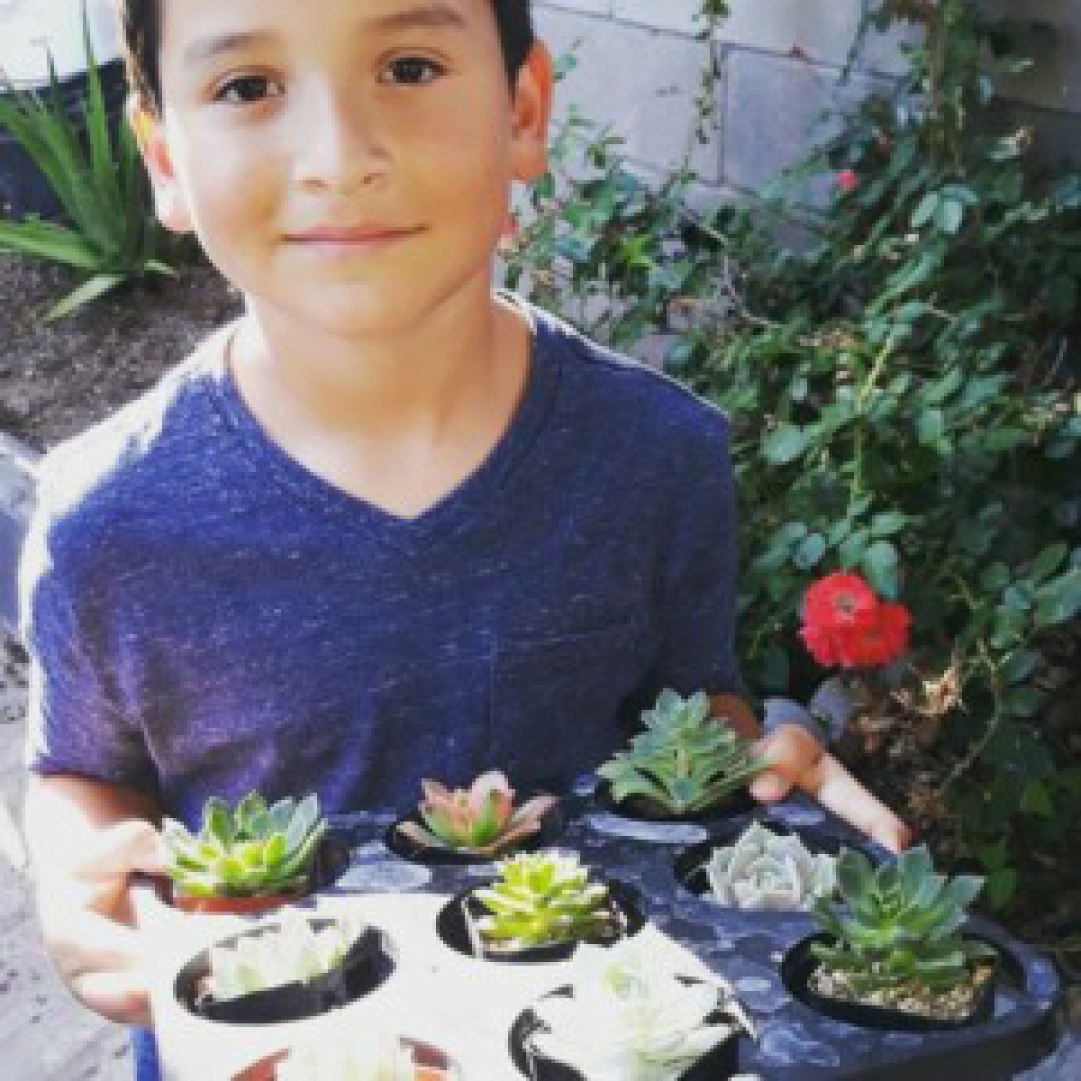 แอรอน โมเรโน : เมื่อโควิด-19 ทำให้แม่ตกงาน เด็กชายวัย 8 ขวบจึงพลิกวิกฤตของครอบครัวด้วยการขายต้นไม้