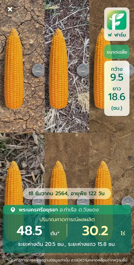 AXONS ผงาดเป็นผู้นำโซลูชั่น AgriTech เทคโนโลยีเกษตรแบบครบวงจร