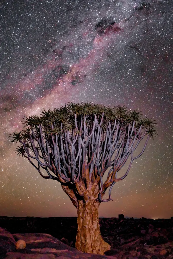 รู้จักบอตสวานาและนามิเบีย กับการเดินทางแบบซาฟารีโดย A2A Safaris