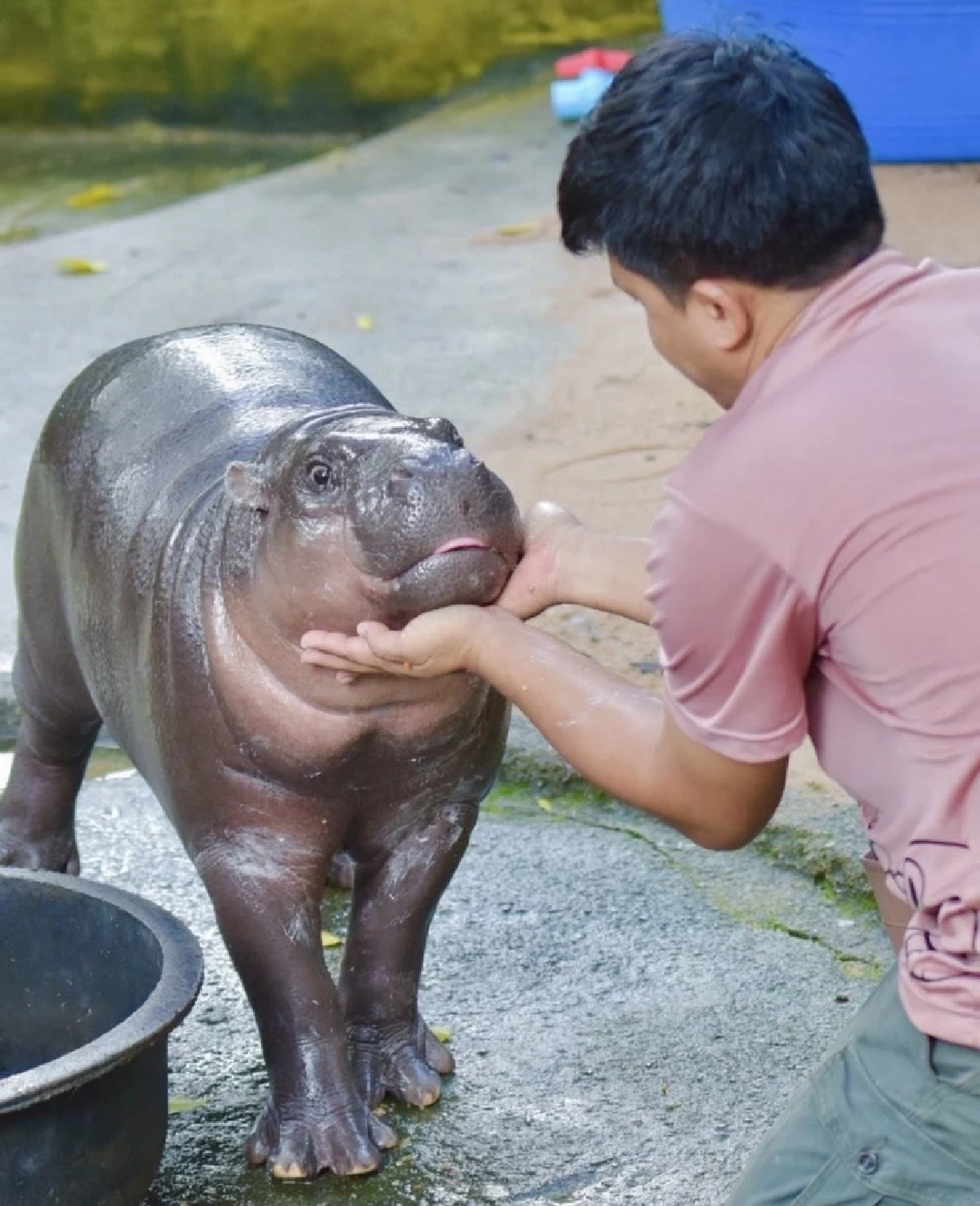 6 ปีแห่งความพยายามของ ‘เบนซ์-อรรถพล หนุนดี’ พลังเล็ก ๆ ที่เติบใหญ่ จนฮีลใจคนทั้งโลก