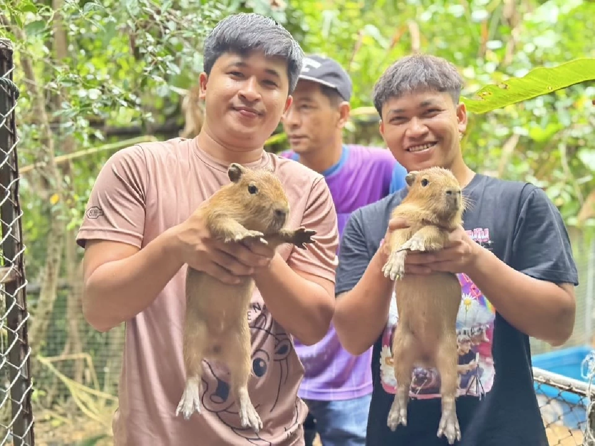 6 ปีแห่งความพยายามของ ‘เบนซ์-อรรถพล หนุนดี’ พลังเล็ก ๆ ที่เติบใหญ่ จนฮีลใจคนทั้งโลก