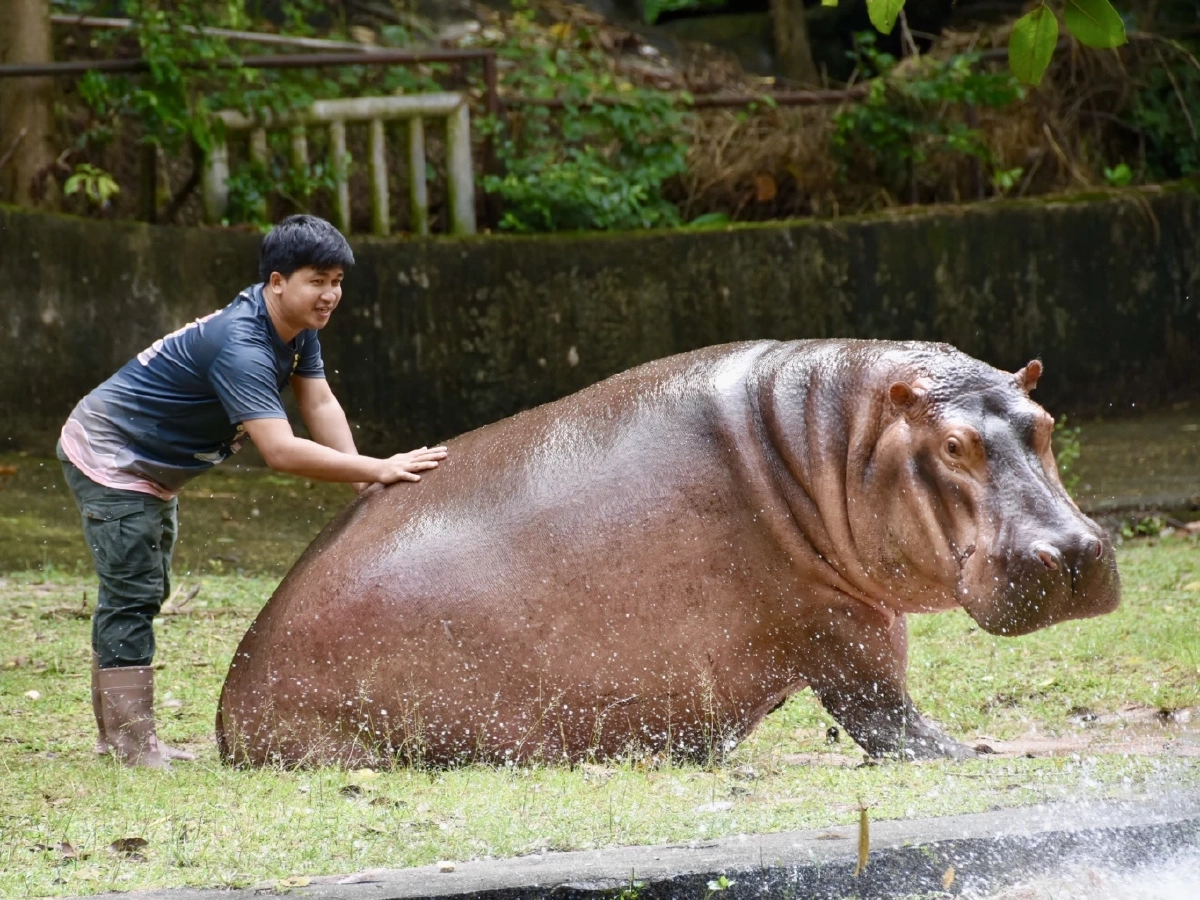 6 ปีแห่งความพยายามของ ‘เบนซ์-อรรถพล หนุนดี’ พลังเล็ก ๆ ที่เติบใหญ่ จนฮีลใจคนทั้งโลก