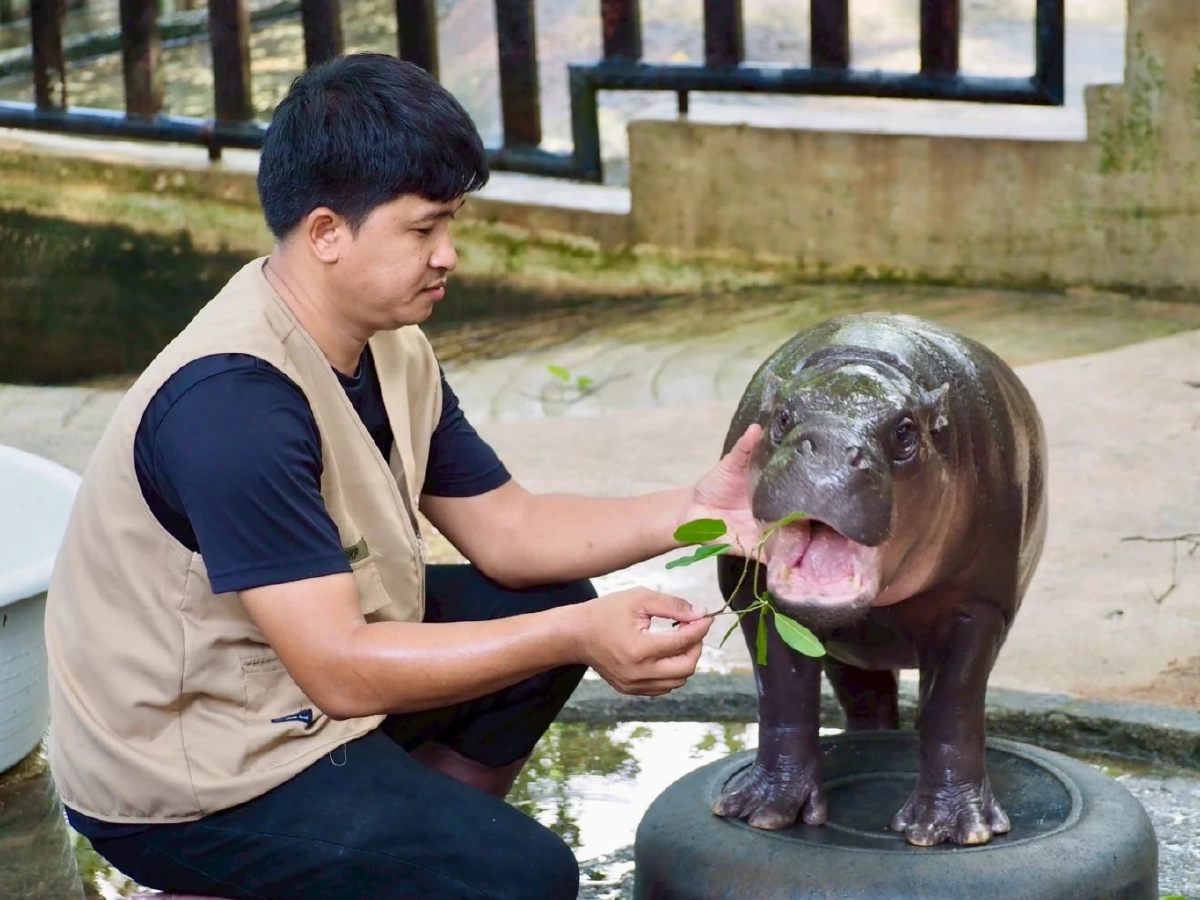 6 ปีแห่งความพยายามของ ‘เบนซ์-อรรถพล หนุนดี’ พลังเล็ก ๆ ที่เติบใหญ่ จนฮีลใจคนทั้งโลก