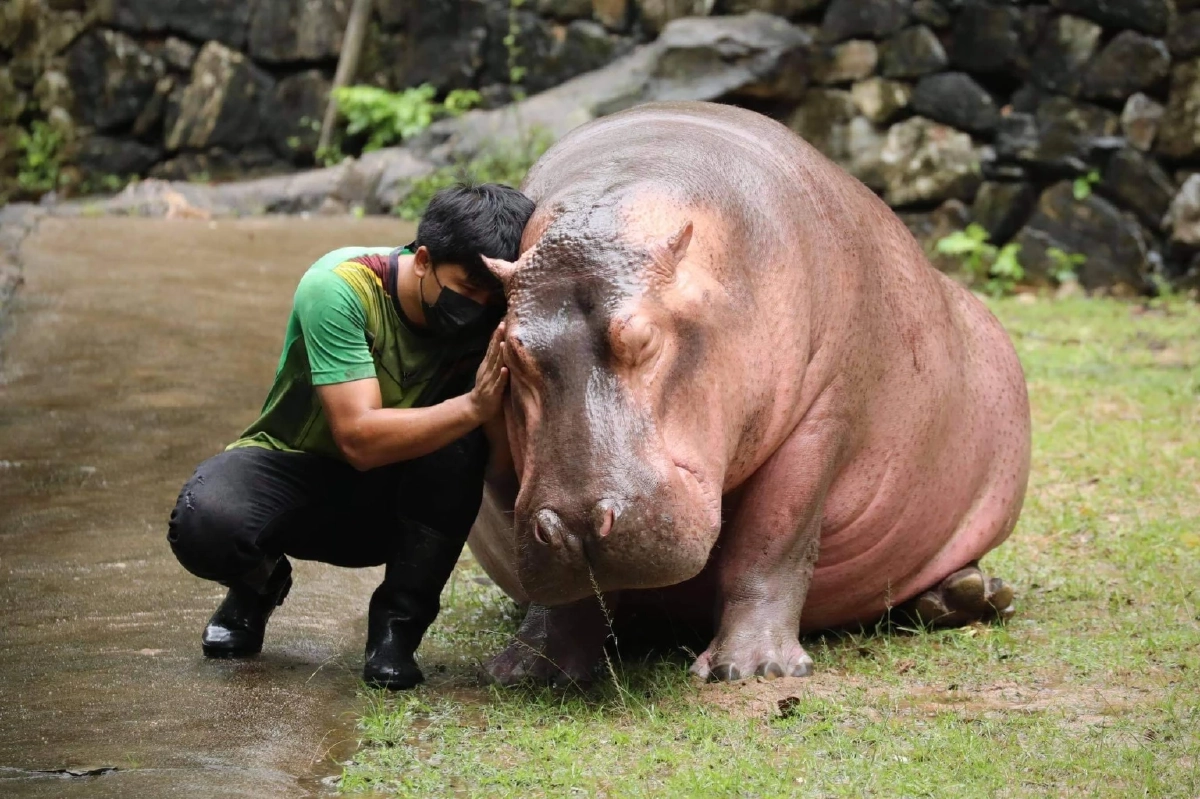 6 ปีแห่งความพยายามของ ‘เบนซ์-อรรถพล หนุนดี’ พลังเล็ก ๆ ที่เติบใหญ่ จนฮีลใจคนทั้งโลก