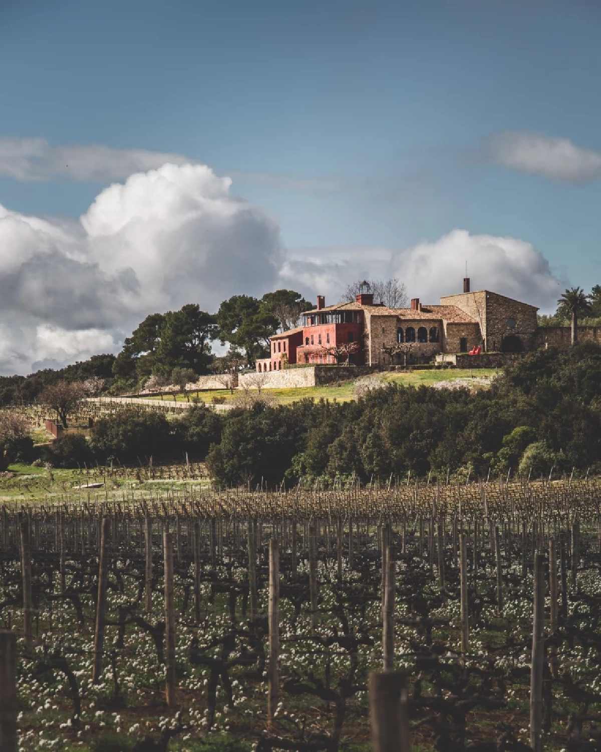 ‘Chateau Castigno’ เมื่อความฝันถูกบรรจุลงในขวดไวน์