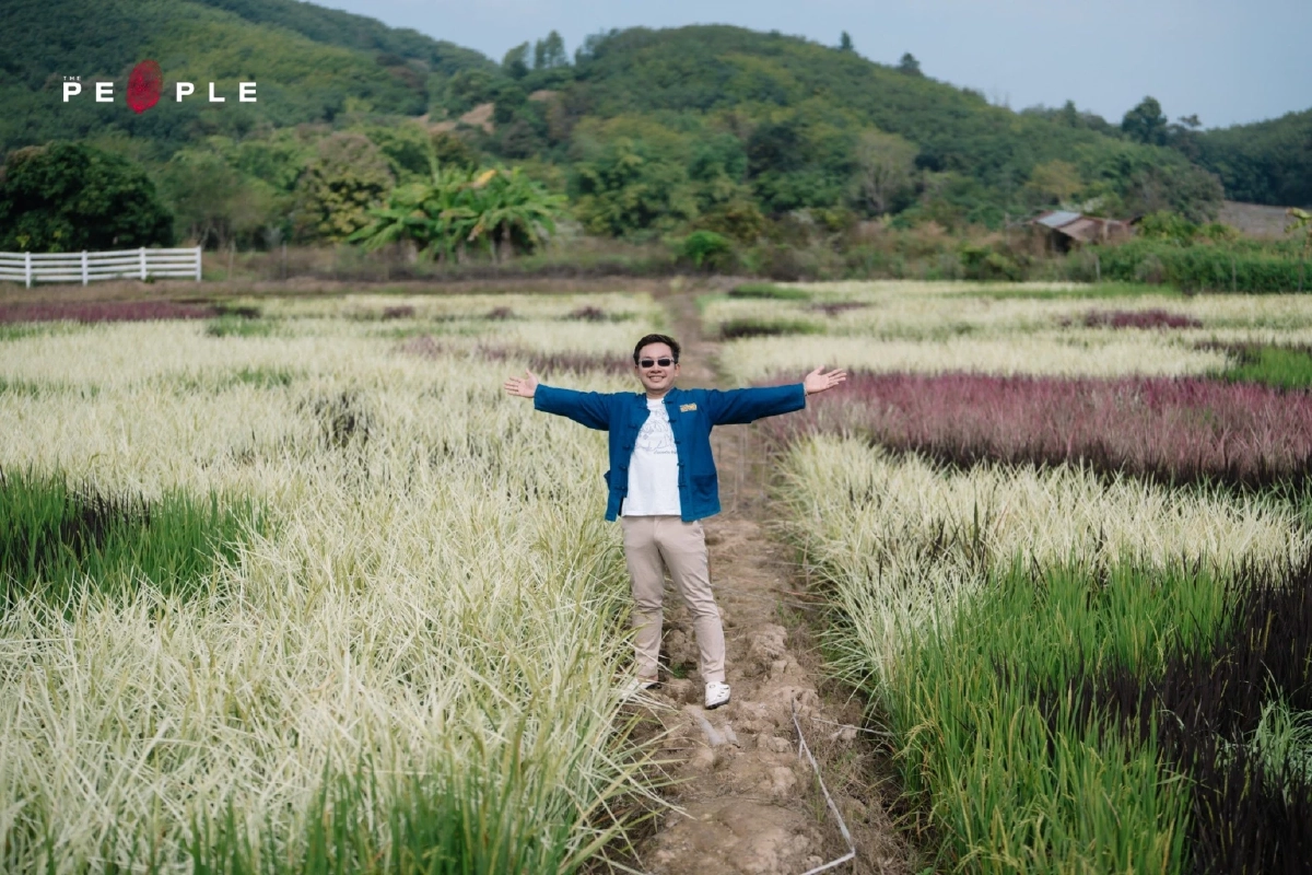 ธันยพงศ์ ใจคำ : มนุษย์เงินเดือนเปลี่ยนนาข้าวเป็นผืนผ้าใบรังสรรค์รูป ‘แมวกอดปลา’