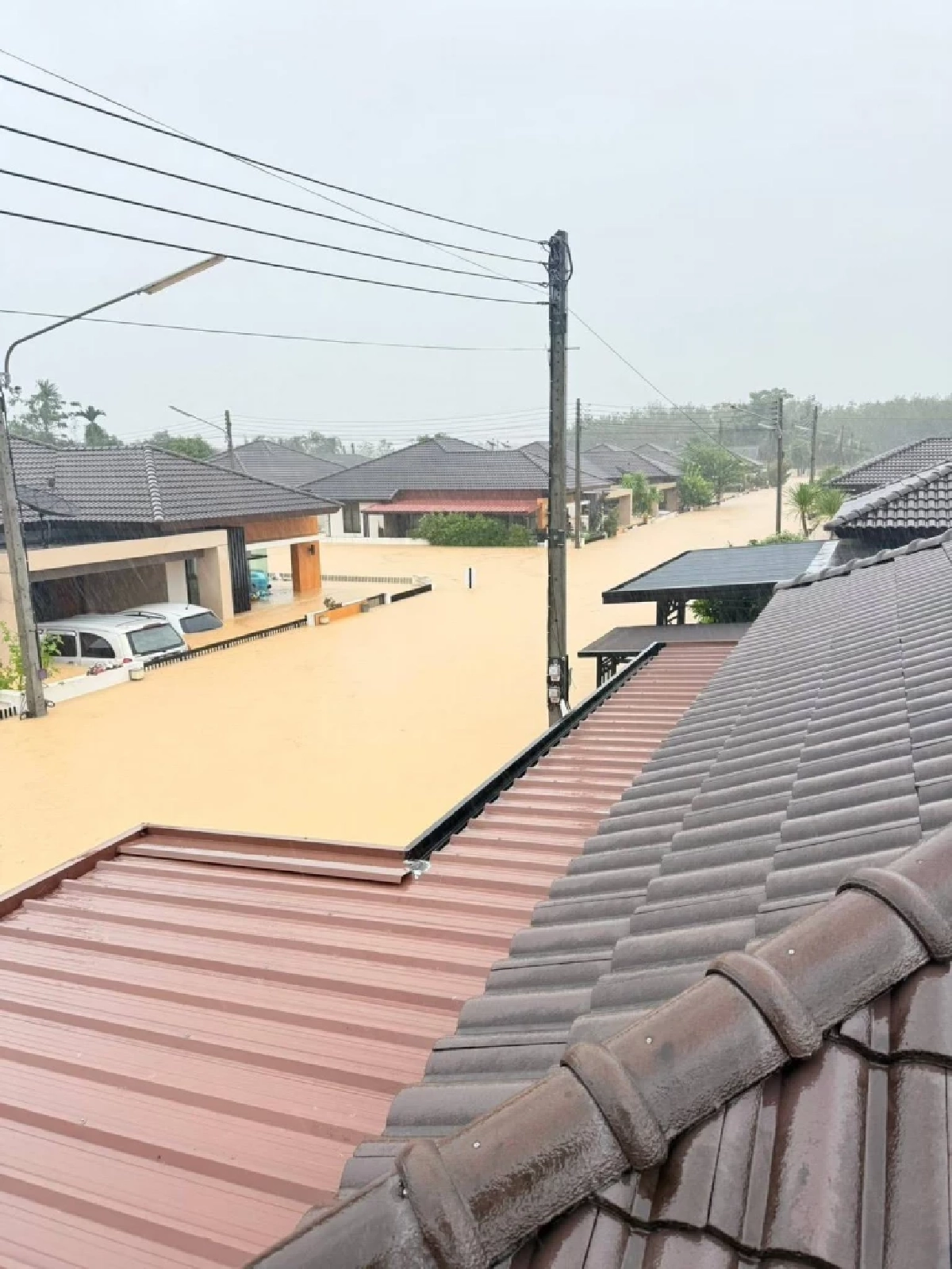 เซฟ เดอะ ชิลเดรนเผย น้ำท่วมใต้กระทบเด็กเกือบ 400,000 คน เสียชีวิตแล้วอย่างน้อย 7 ราย เรียกร้องทุกภาคส่วนเร่งคุ้มครองเด็ก