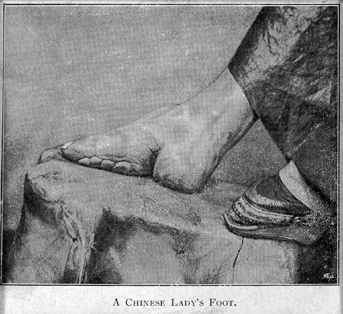 Veblen & Conspicuous Consumption : ทั้งของแพงและของใหม่ ไฉนถึงน่าพิสมัยนัก?