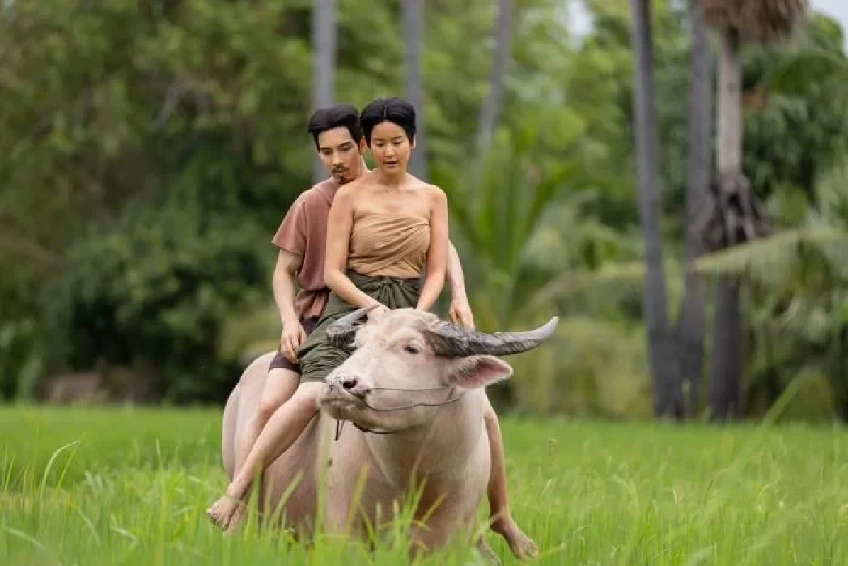 ‘อนงค์ 2..สามสี่ชาติ’: ถ้าได้กลับมารักกัน มันคือการเยียวยา หรือจากลาอีกครั้ง?