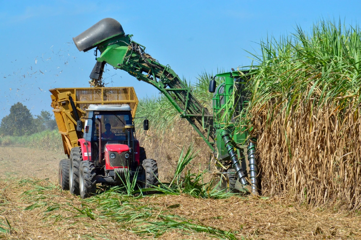 กลุ่มมิตรผลชวนเกษตรกรตัดอ้อยสดต่อเนื่อง เดินหน้าแคมเปญ “นะโม ตัดสด” เพื่อสิ่งแวดล้อม