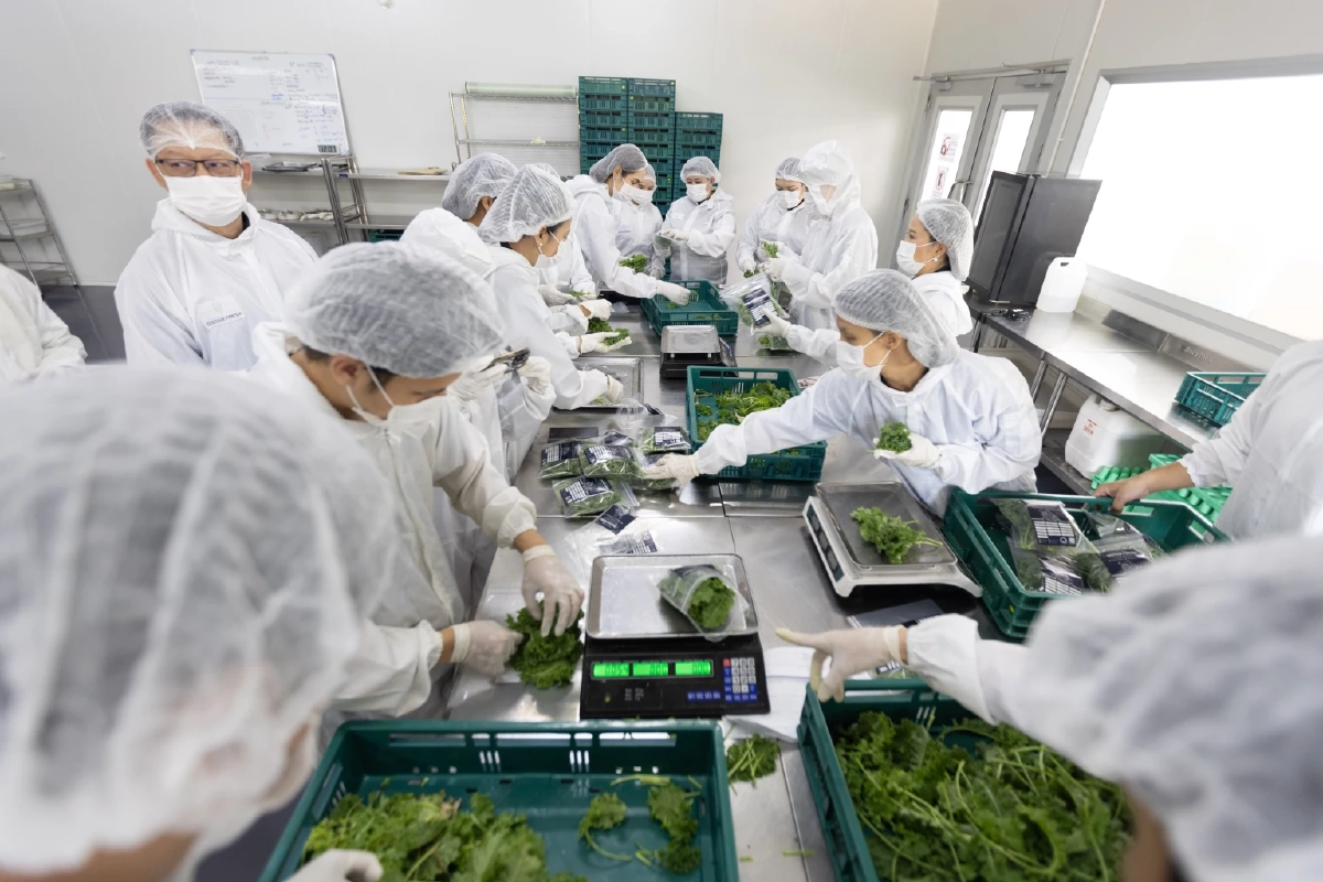 NIA นำคณะผู้บริหารระดับสูงเยี่ยมชม DISTAR FRESH FARM ชู “Indoor Vertical Farming” ต้นแบบ