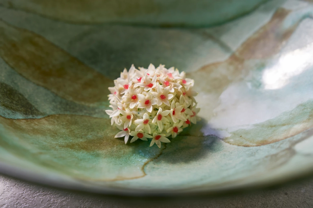 EBBE ปักหมุดร้านอาหารนอร์ดิกสมัยใหม่ ใจกลางกรุงเทพฯ  ชูวัตถุดิบไทยในประสบการณ์ Chef’s Counter