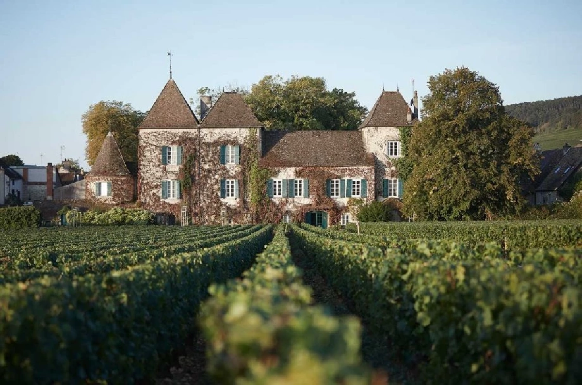 รีวิว Masterclass ‘โดเมน เดอ ลา กอมมาแรน’ การตื่นขึ้นของตำนานแห่งปอมมารด์