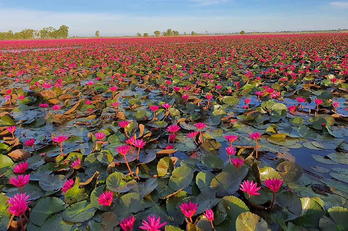 แกร็บ เผยเทรนด์ “เรียกรถ-ฟู้ดเดลิเวอรี” ประจำปี 2025