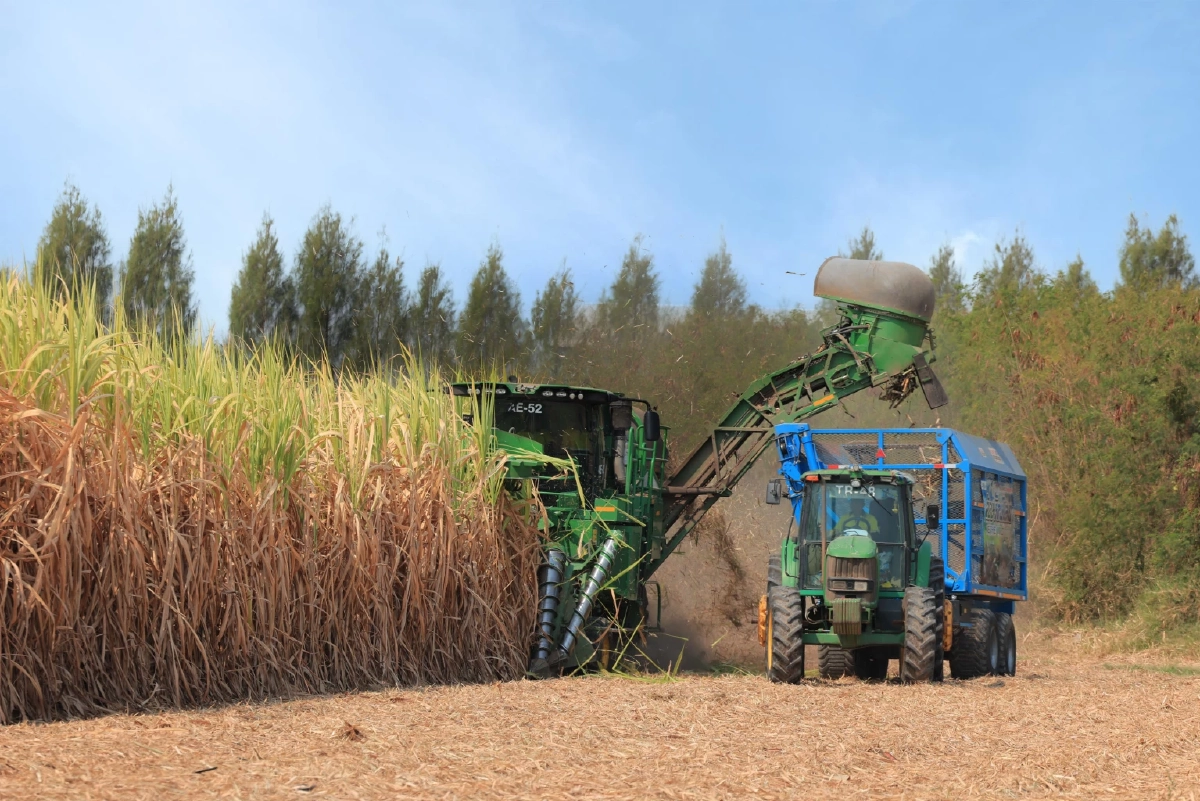 กลุ่มมิตรผลชวนเกษตรกรตัดอ้อยสดต่อเนื่อง เดินหน้าแคมเปญ “นะโม ตัดสด” เพื่อสิ่งแวดล้อม