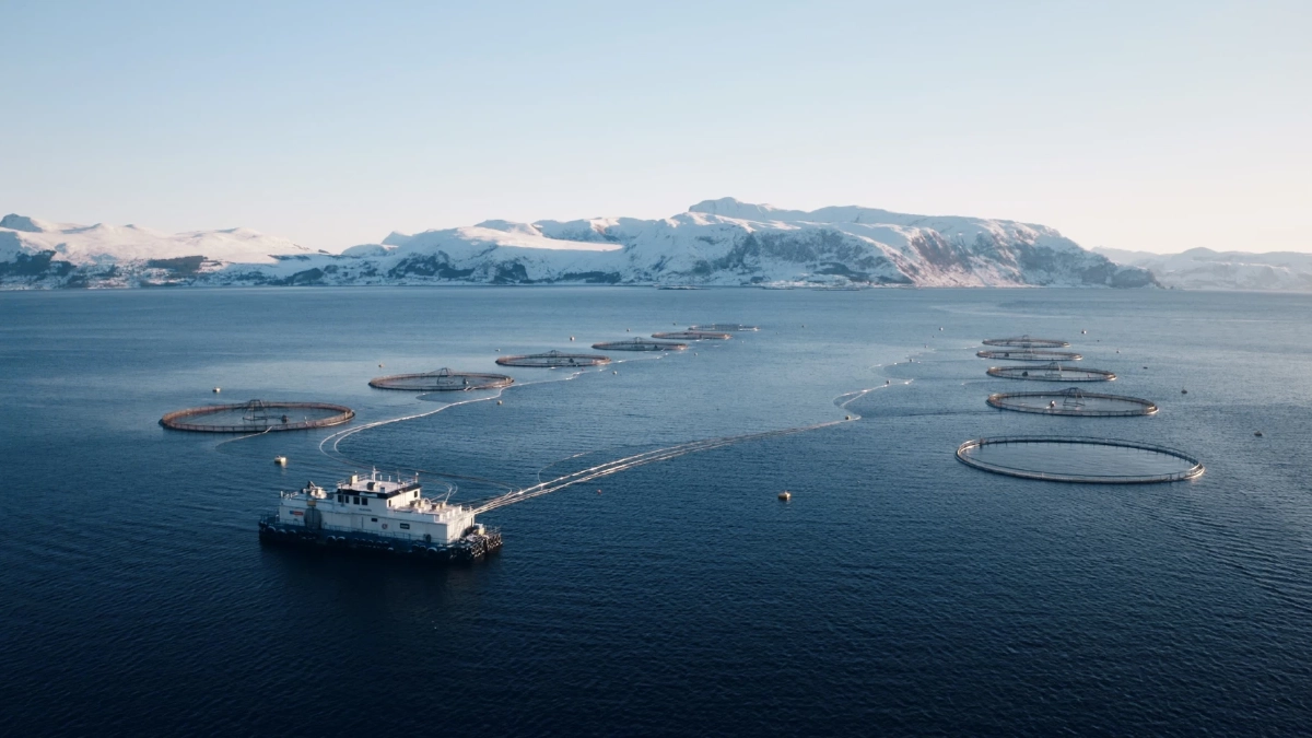 ซีพี แอ็กซ์ตร้า จับมือ Mowi ยกระดับซัพพลายเชนแซลมอนพรีเมียม ครบวงจรแห่งแรกของไทย