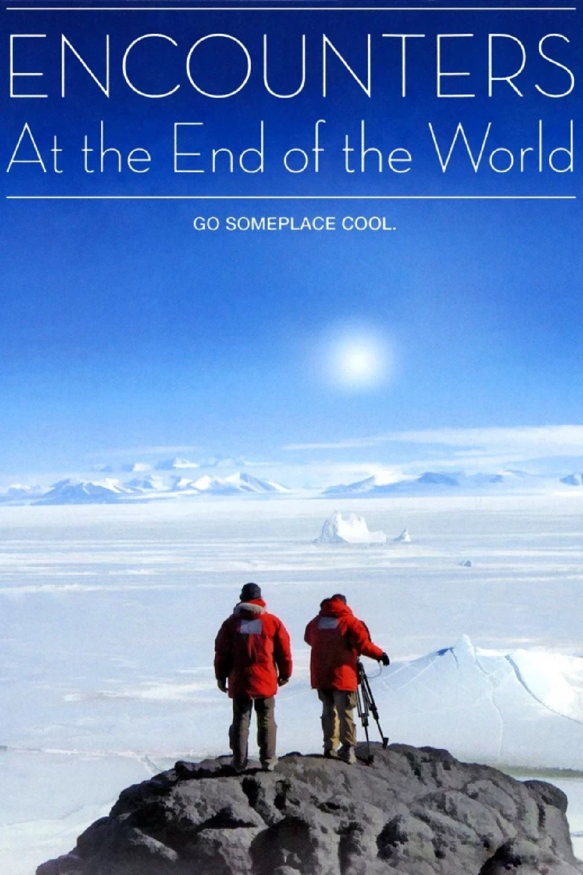 Nihilist Penguin : นกเพนกวินที่กลายเป็นภาพแทนของปรัชญาสุญนิยม