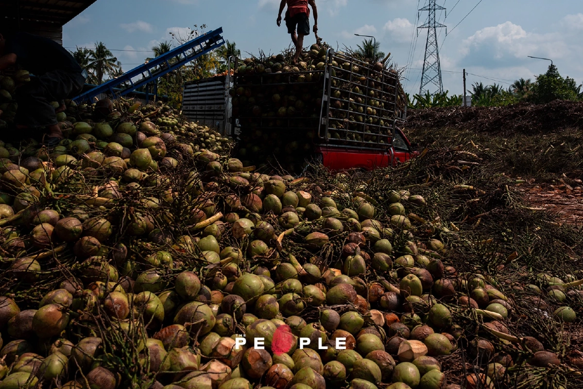 ความหอมหวานของ 'ทุนจีน' รสขมปร่าของเกษตรกรไทย