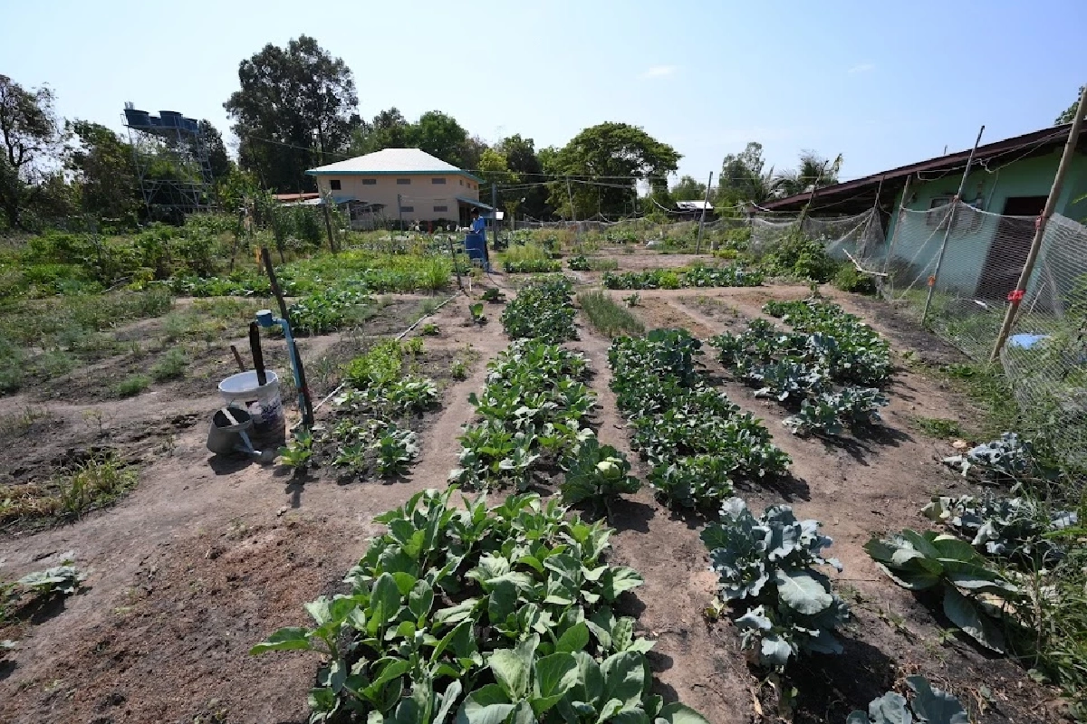 เมื่อคนไม่ต้องทิ้งบ้าน: บทเรียน ‘หมู่บ้าน 100 ปี ชาตกาล’ มูลนิธิปิดทองหลังพระ