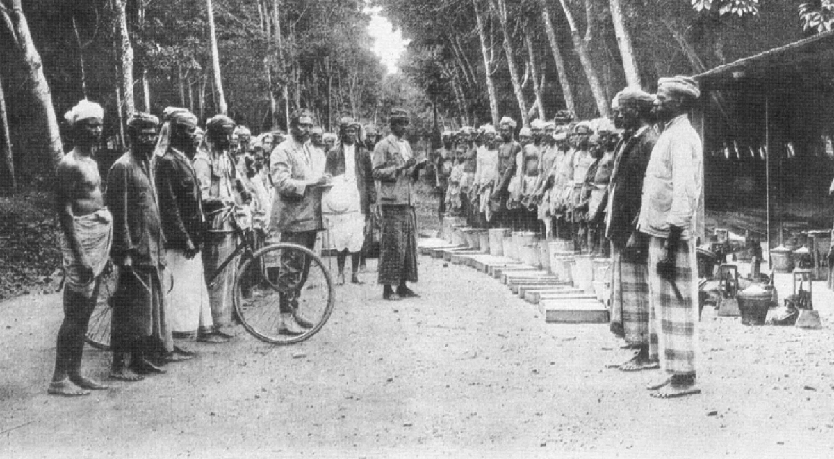 แรงงานอินเดียในสวนยางพาราที่มลายู