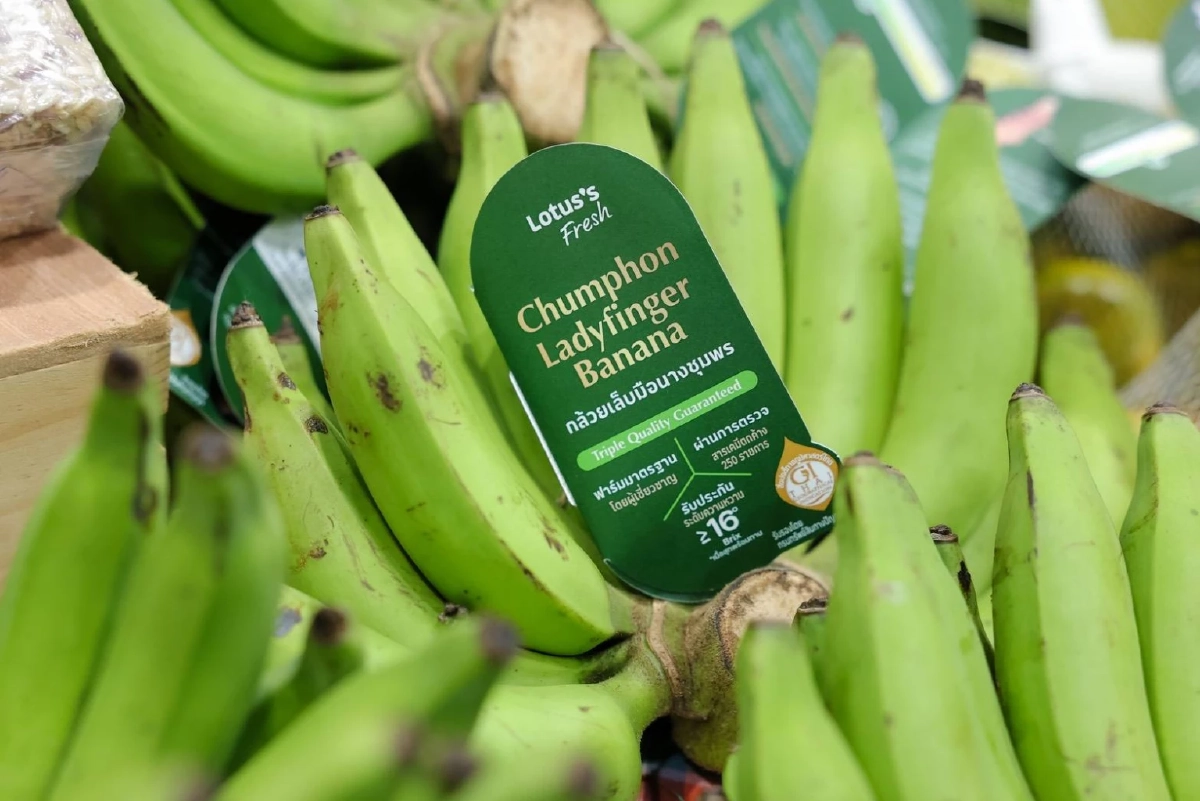 แม็คโคร–โลตัส ผนึกกรมทรัพย์สินทางปัญญา ดันสินค้า GI ไทยสู่ตลาดยั่งยืน