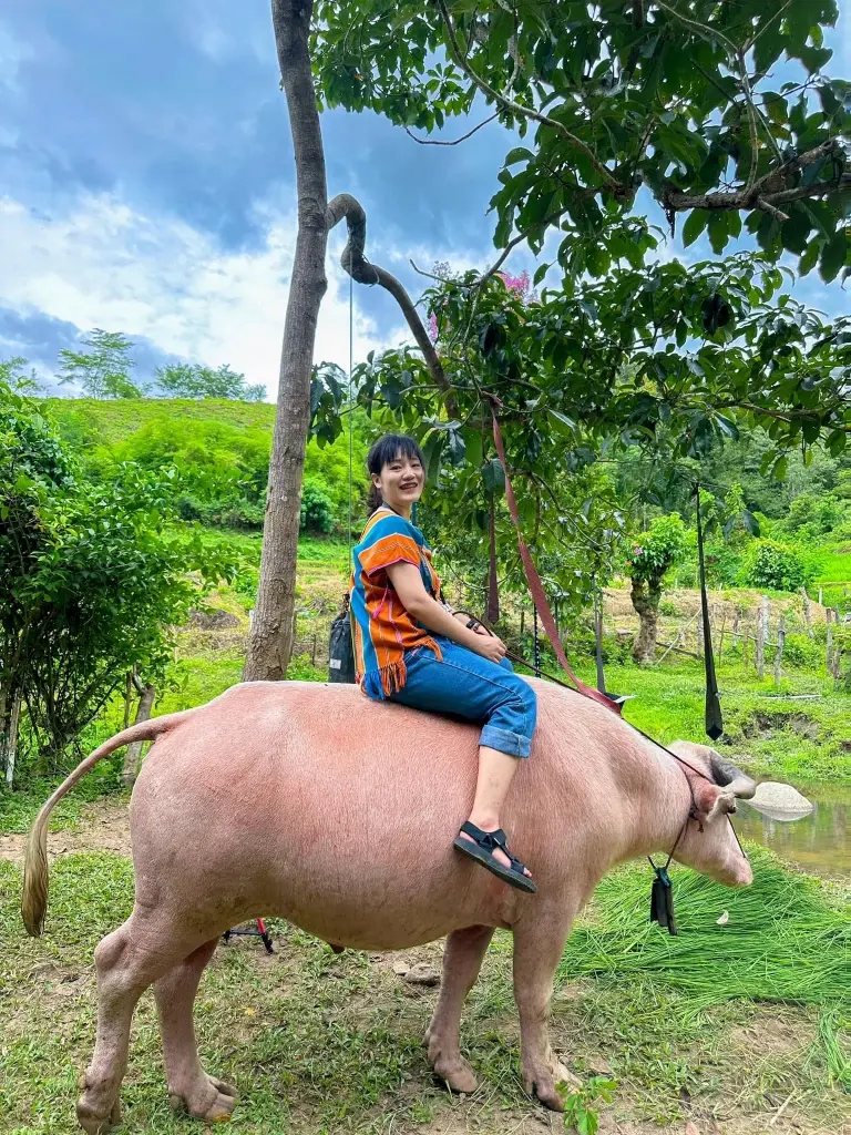 โซดา-สุนารี วารีขจรผล : ถอดหน้ากาก ‘คนเมือง’ คืนชีพวิญญาณ 'ปกาเกอะญอ'  เพื่อบอกเล่าเรื่องราวพี่น้องชาติพันธุ์ทั่วไทยให้เป็นที่รู้จัก  .