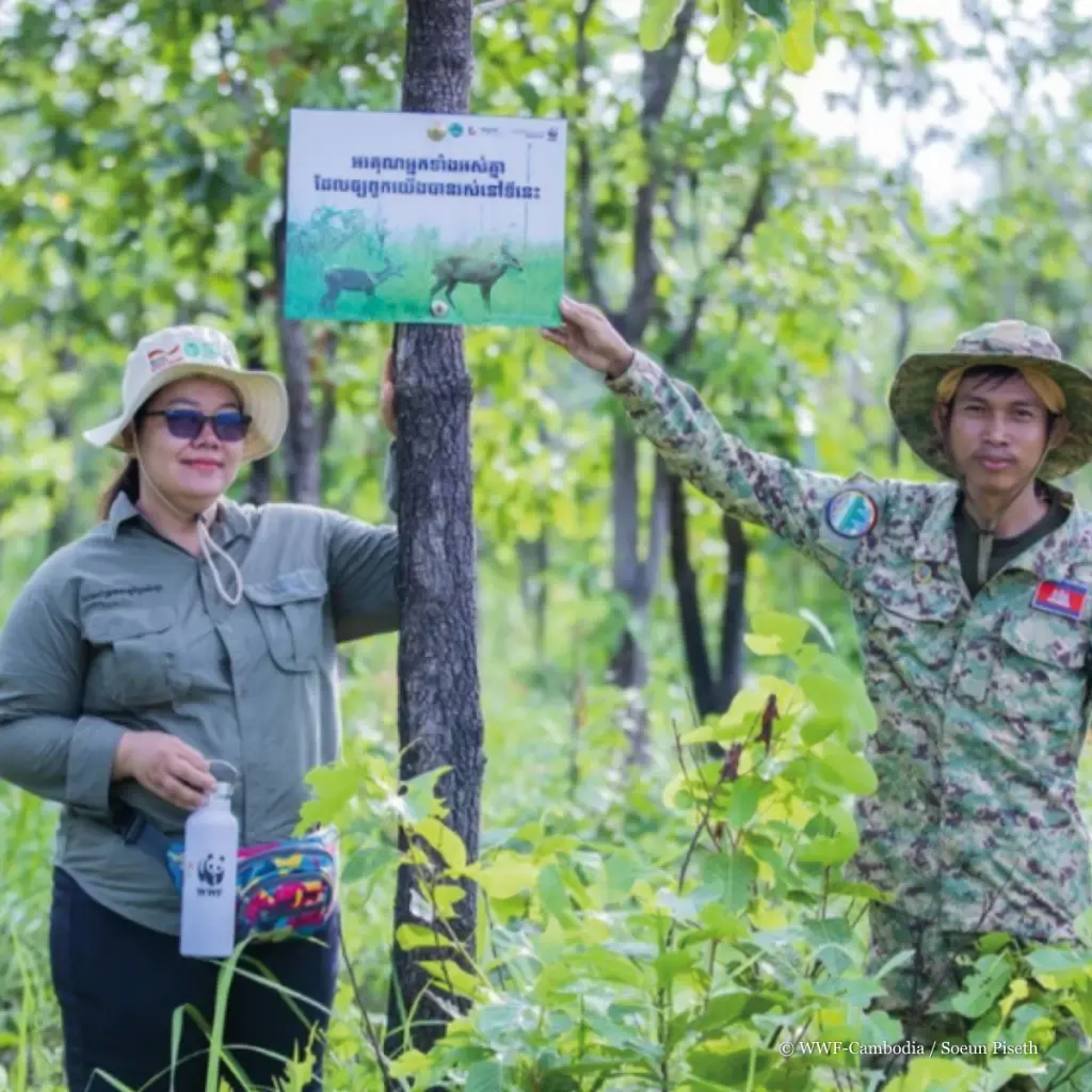 รายงาน Living Planet Report 2026 โดย WWF: ท่ามกลางประชากรสัตว์ป่าทั่วโลกที่กำลังลดลงโดยเฉลี่ย 73% นักวิทยาศาสตร์ได้เปิดเผยข้อมูลที่ทำให้เกิดความหวัง