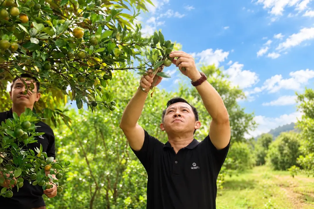 ดอยคำ เปิดประสบการณ์ใหม่ “น้ำส้มมะปี๊ดเข้มข้น” ชูเสน่ห์ผลไม้พื้นถิ่นจันทบุรี