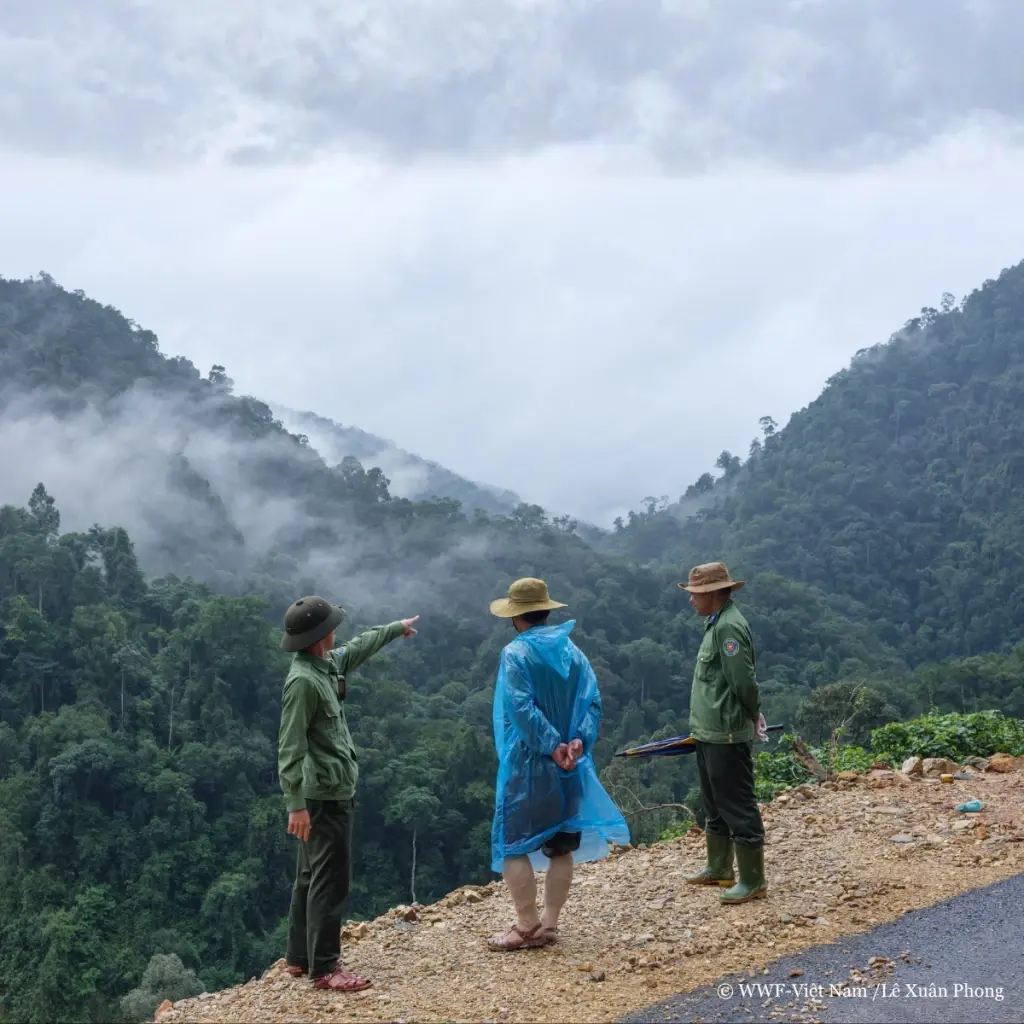 รายงาน Living Planet Report 2026 โดย WWF: ท่ามกลางประชากรสัตว์ป่าทั่วโลกที่กำลังลดลงโดยเฉลี่ย 73% นักวิทยาศาสตร์ได้เปิดเผยข้อมูลที่ทำให้เกิดความหวัง