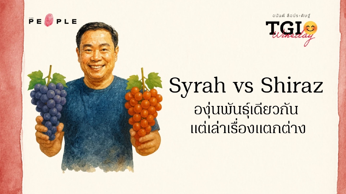 TGI Wineday EP20: Syrah vs Shiraz องุ่นพันธุ์เดียวกัน แต่เล่าเรื่องแตกต่าง