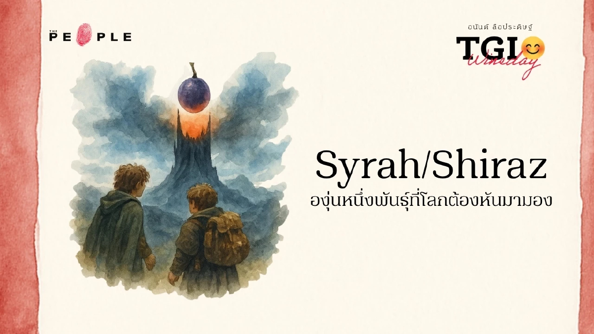 TGI Wineday EP32: Syrah/Shiraz องุ่นหนึ่งพันธุ์ที่โลกต้องหันมามอง