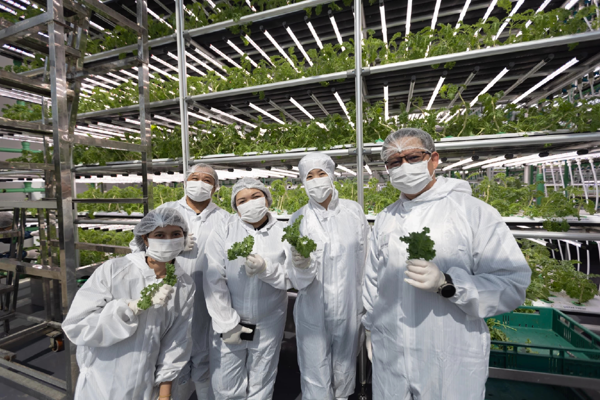 NIA นำคณะผู้บริหารระดับสูงเยี่ยมชม DISTAR FRESH FARM ชู “Indoor Vertical Farming” ต้นแบบ