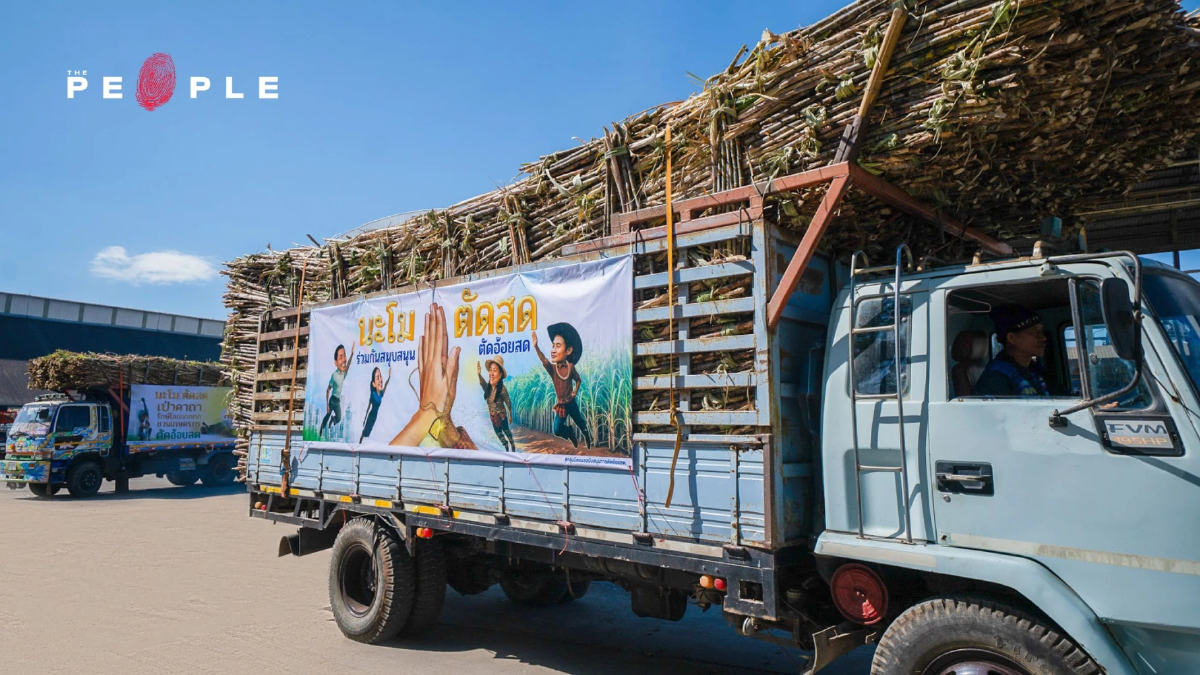 กลุ่มมิตรผลชวนเกษตรกรตัดอ้อยสดต่อเนื่อง เดินหน้าแคมเปญ “นะโม ตัดสด” เพื่อสิ่งแวดล้อม