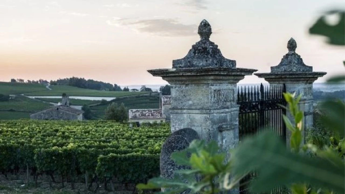 The Soul of Château Ausone เมื่อไวน์คือมรดกที่มีชีวิต