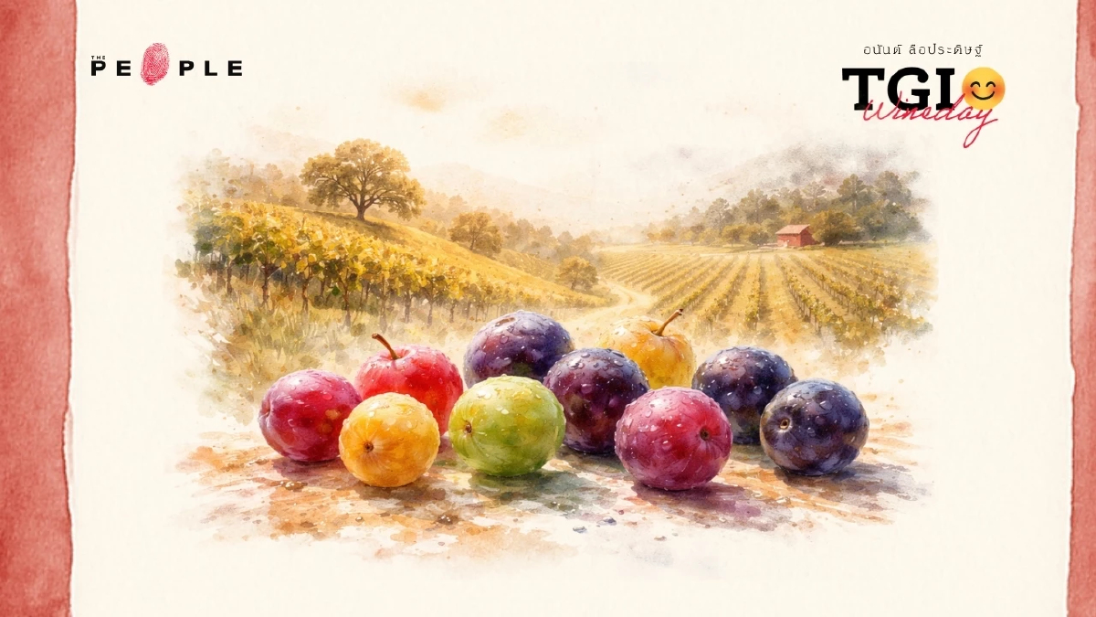 TGI Wineday EP48: California Dreaming (2) เรื่องราวจากองุ่น 8 สายพันธุ์