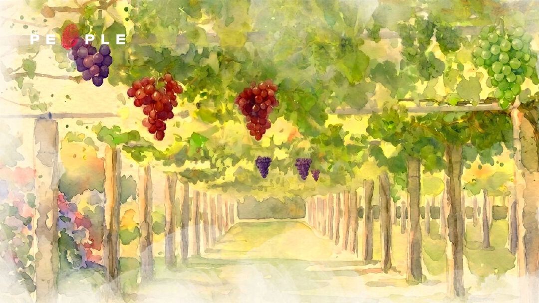 TGI Wineday EP58: Spanish Solstice (3) ‘เรียส ไบซัส’ อัญมณีริมแอตแลนติก