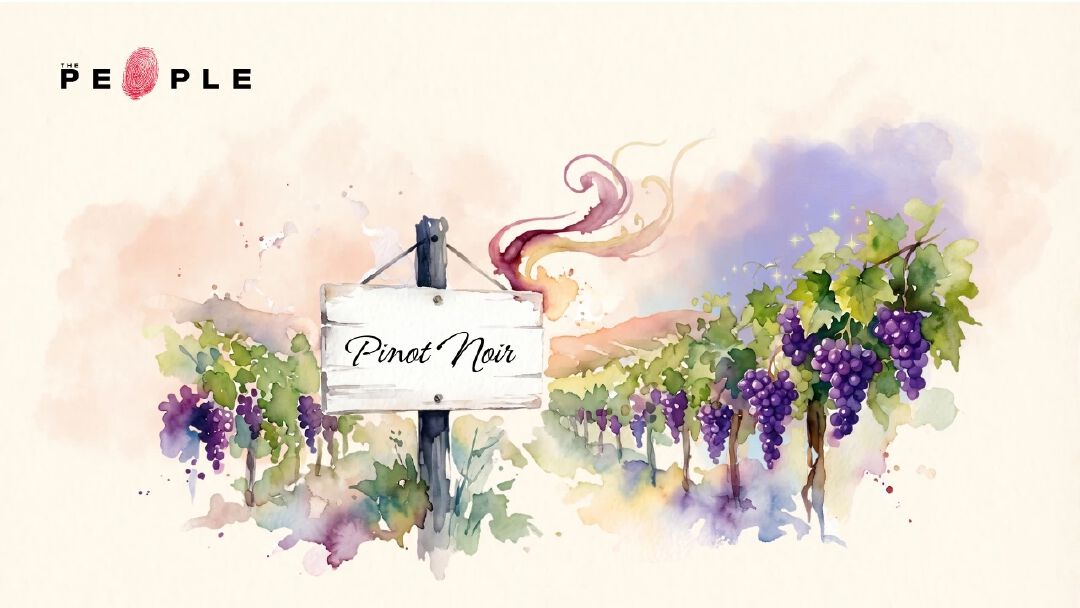 TGI Wineday EP66: รหัสลับ ‘ปิโนต์ นัวร์’ ไวน์แห่งการทะยานขึ้น