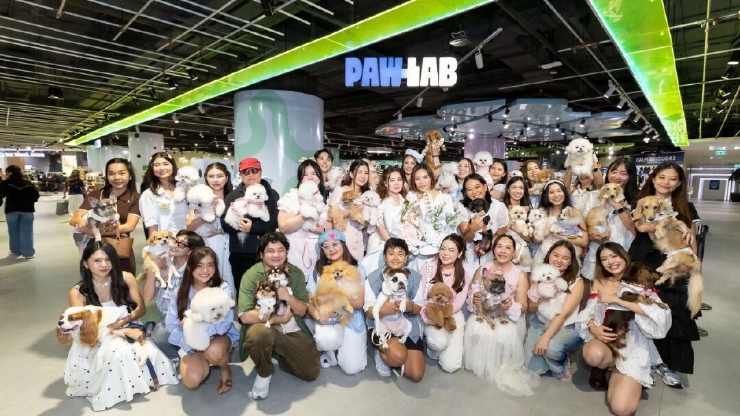 สยามดิสคัฟเวอรี่ เปลี่ยน PAW LAB สู่รันเวย์ครั้งแรก ชวนเหล่าเพื่อนสี่ขาและเจ้าของมาแสดงตัวตนผ่านแฟชั่นและ Pet Lifestyle