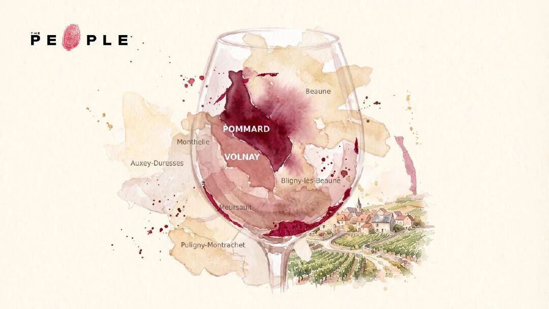 TGI Wineday EP77: จาก ‘ปอมมาร์’ ถึง ‘โวลเนย์’ ชื่อหมู่บ้านบอกอะไรในแก้วไวน์