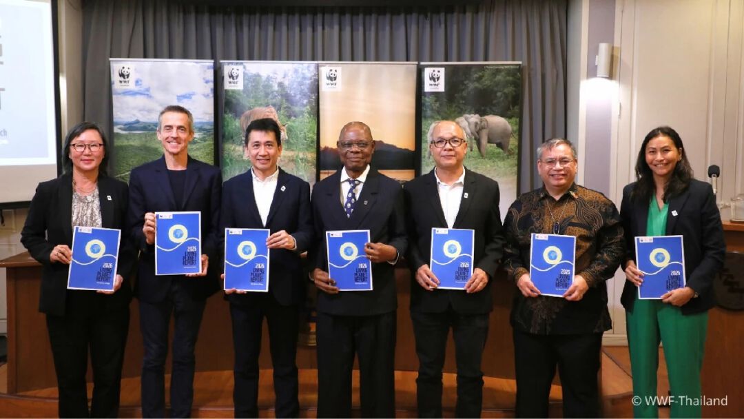 รายงาน Living Planet Report 2026 โดย WWF: ท่ามกลางประชากรสัตว์ป่าทั่วโลกที่กำลังลดลงโดยเฉลี่ย 73% นักวิทยาศาสตร์ได้เปิดเผยข้อมูลที่ทำให้เกิดความหวัง